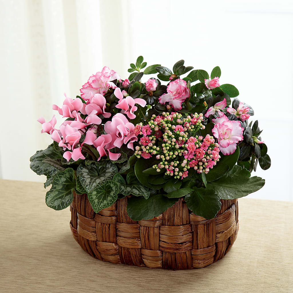 Pink Assortment – Oak Creek Florist, Concord CA