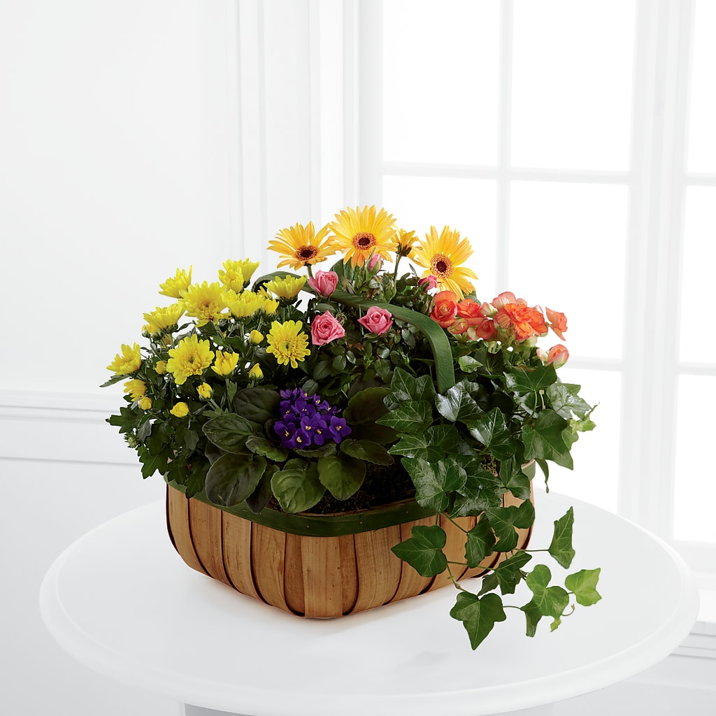 Gentle Blossoms Basket – Oak Creek Florist, Concord CA