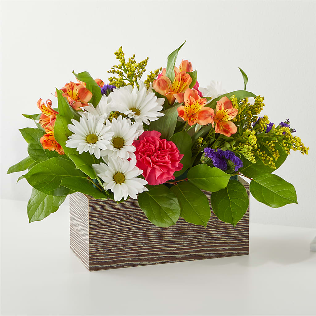 Oopsie Daisy Box Bouquet – Oak Creek Florist, Concord CA
