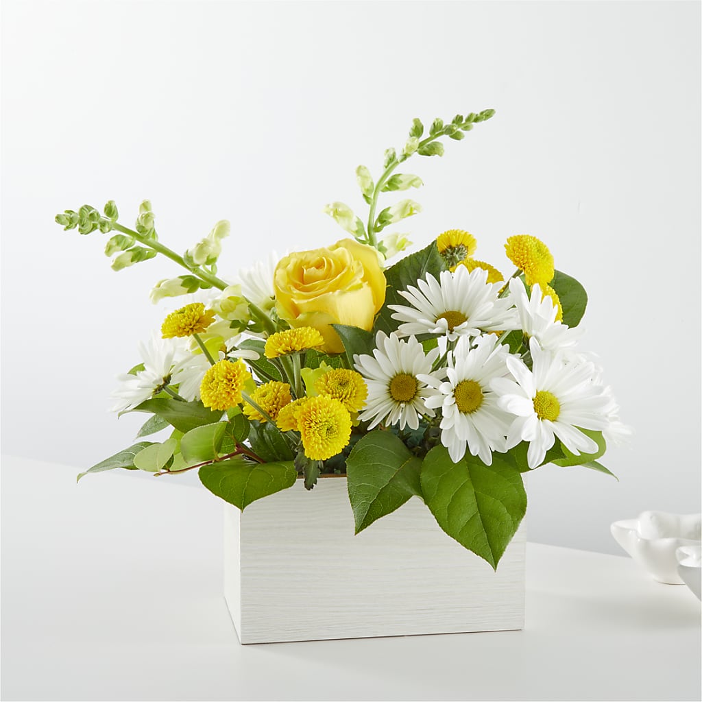 Sun Salutation Box Bouquet – Oak Creek Florist, Concord CA