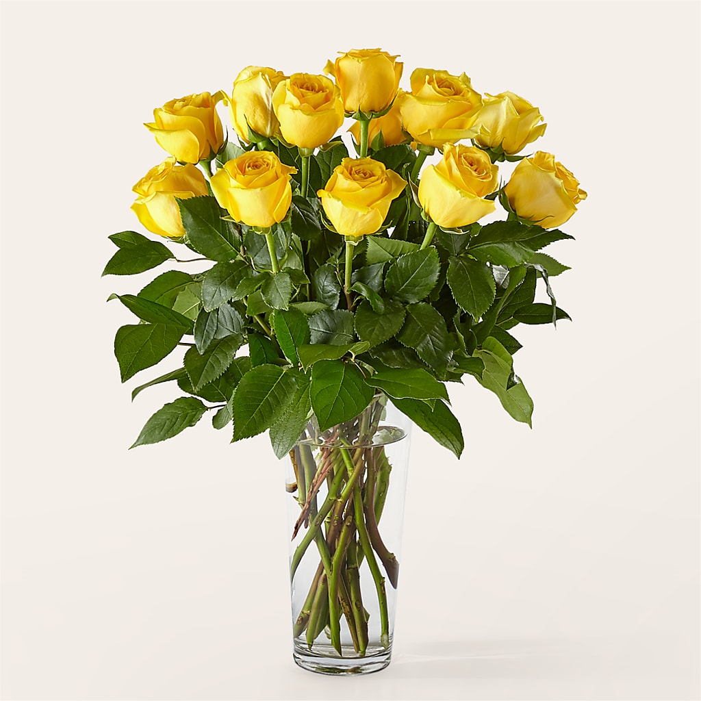 Long Stem Yellow Rose Bouquet – Oak Creek Florist, Concord CA