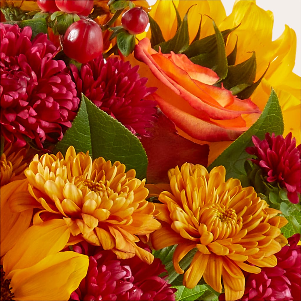 Sweater Season - A Florist Original – Oak Creek Florist, Concord CA