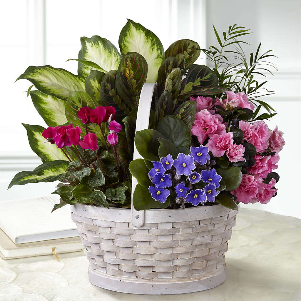 Peaceful Garden Planter – Oak Creek Florist, Concord CA