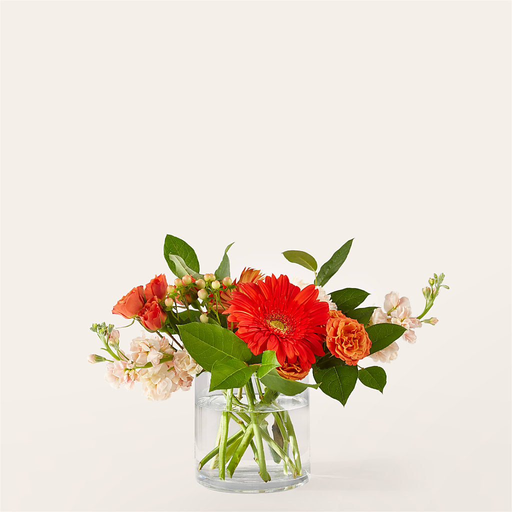 Paloma Please Bouquet – Oak Creek Florist, Concord CA