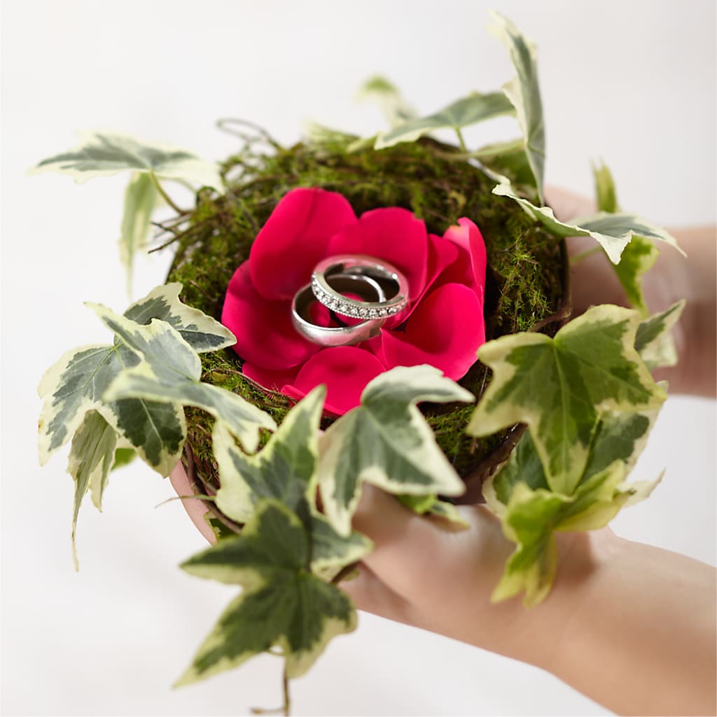 Lila Rose Ring Nest – Oak Creek Florist, Concord CA