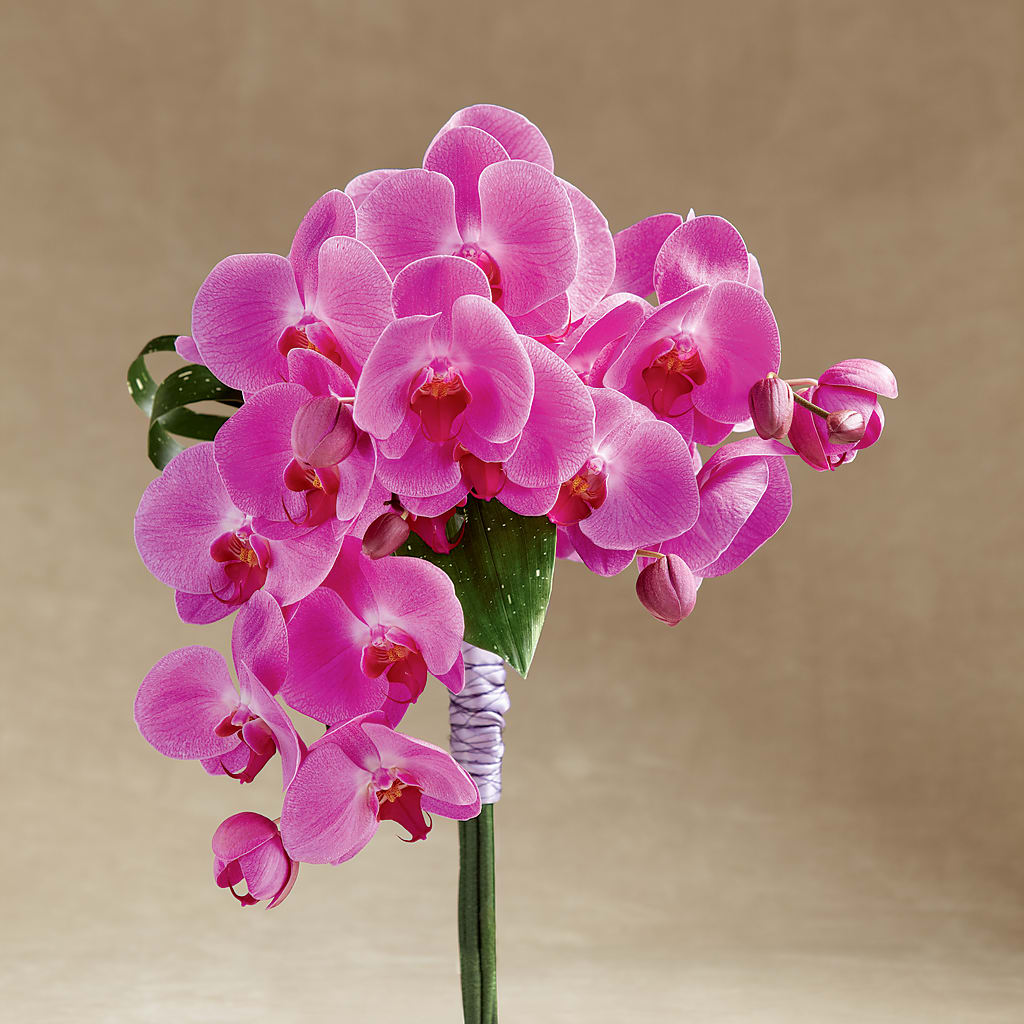 Glorious Bouquet – Oak Creek Florist, Concord CA