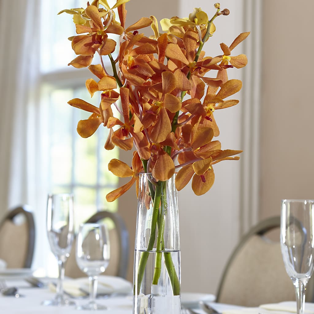 Orange Mokara Bud Vase – Oak Creek Florist, Concord CA