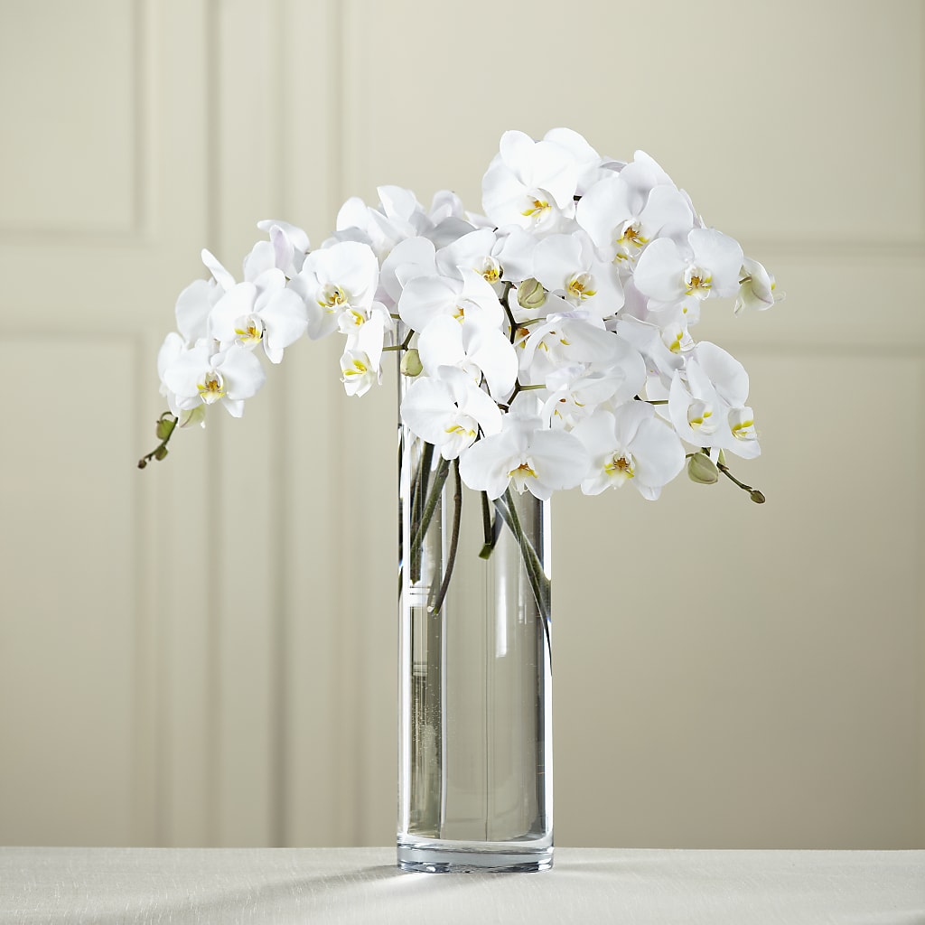 White Phalaenopsis Bouquet – Oak Creek Florist, Concord CA