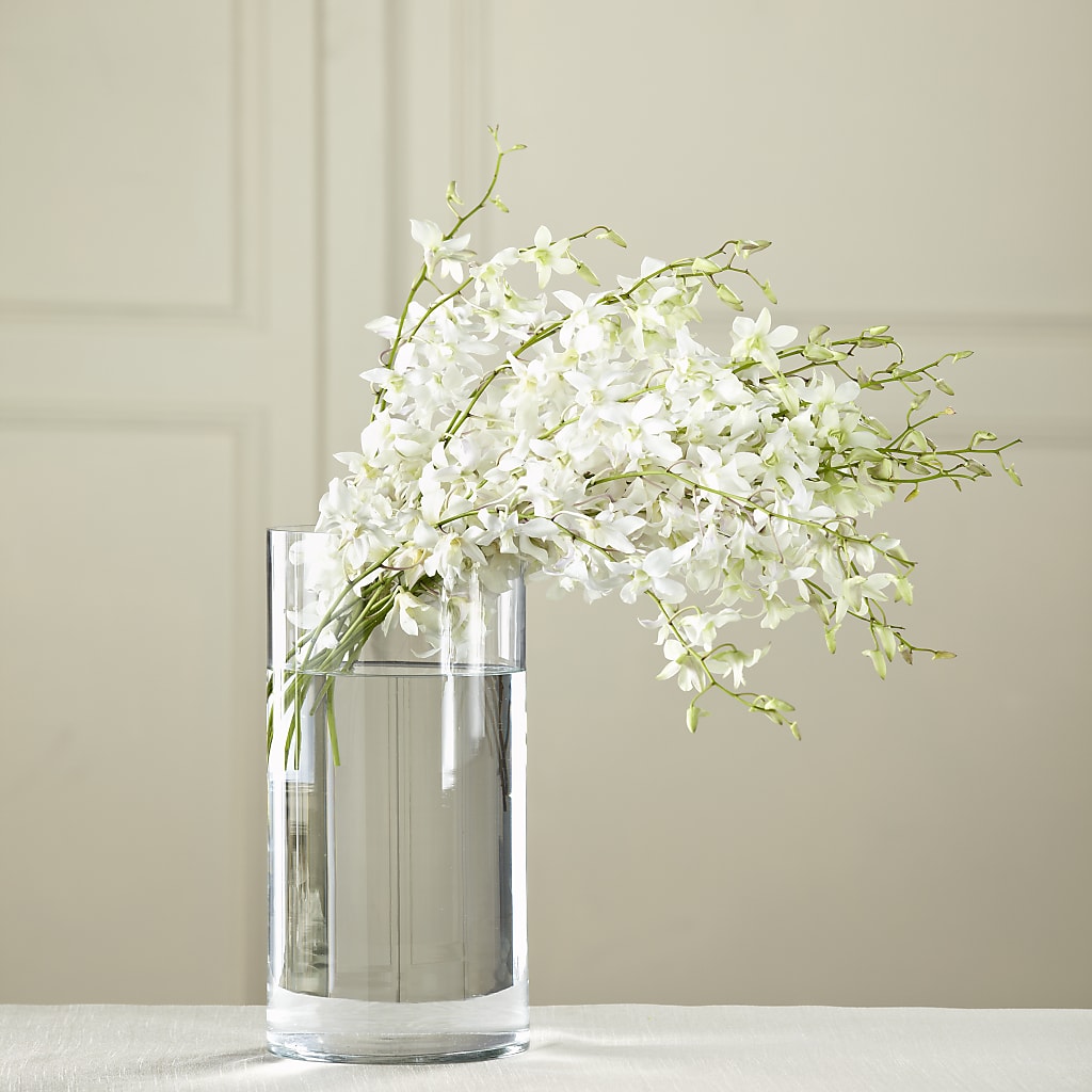 White Dendrobium Bouquet – Oak Creek Florist, Concord CA