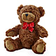 Adorable Plush Bear –  Oak Creek Florist, Concord CA