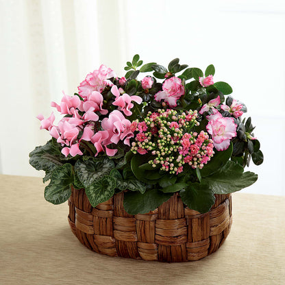 Pink Assortment –  Oak Creek Florist, Concord CA