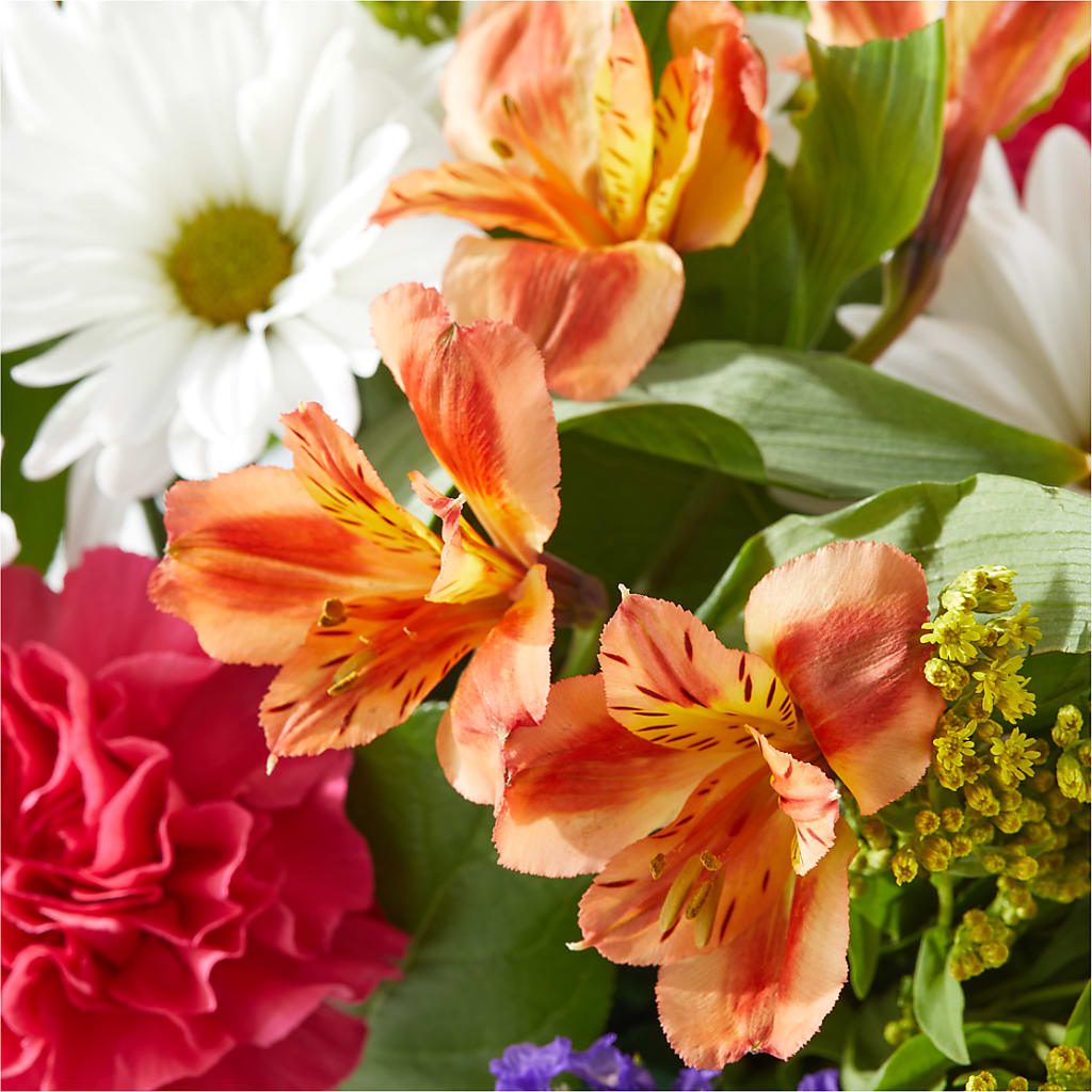 Oopsie Daisy Box Bouquet –  Oak Creek Florist, Concord CA