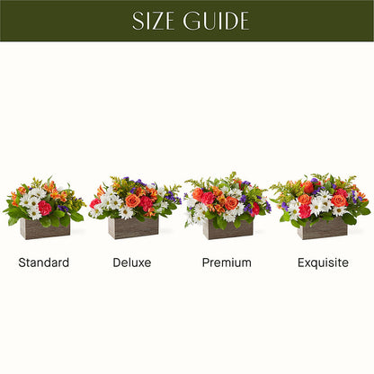Oopsie Daisy Box Bouquet –  Oak Creek Florist, Concord CA