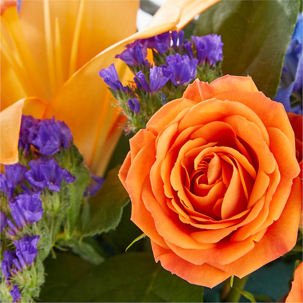 Radiant Citrus Box Bouquet –  Oak Creek Florist, Concord CA