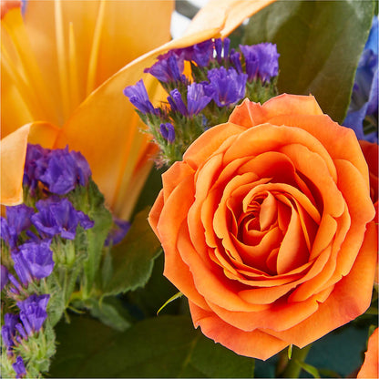 Radiant Citrus Box Bouquet –  Oak Creek Florist, Concord CA