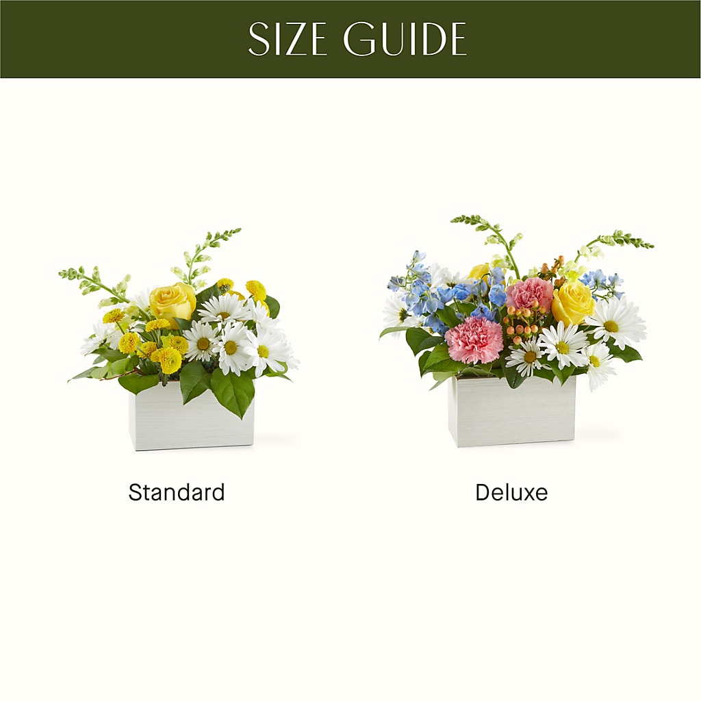 Sun Salutation Box Bouquet –  Oak Creek Florist, Concord CA