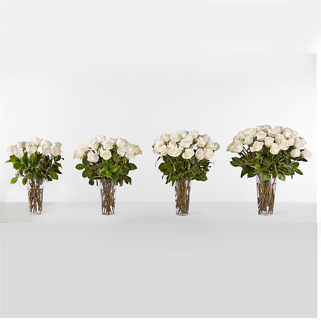Long Stem White Rose Bouquet –  Oak Creek Florist, Concord CA