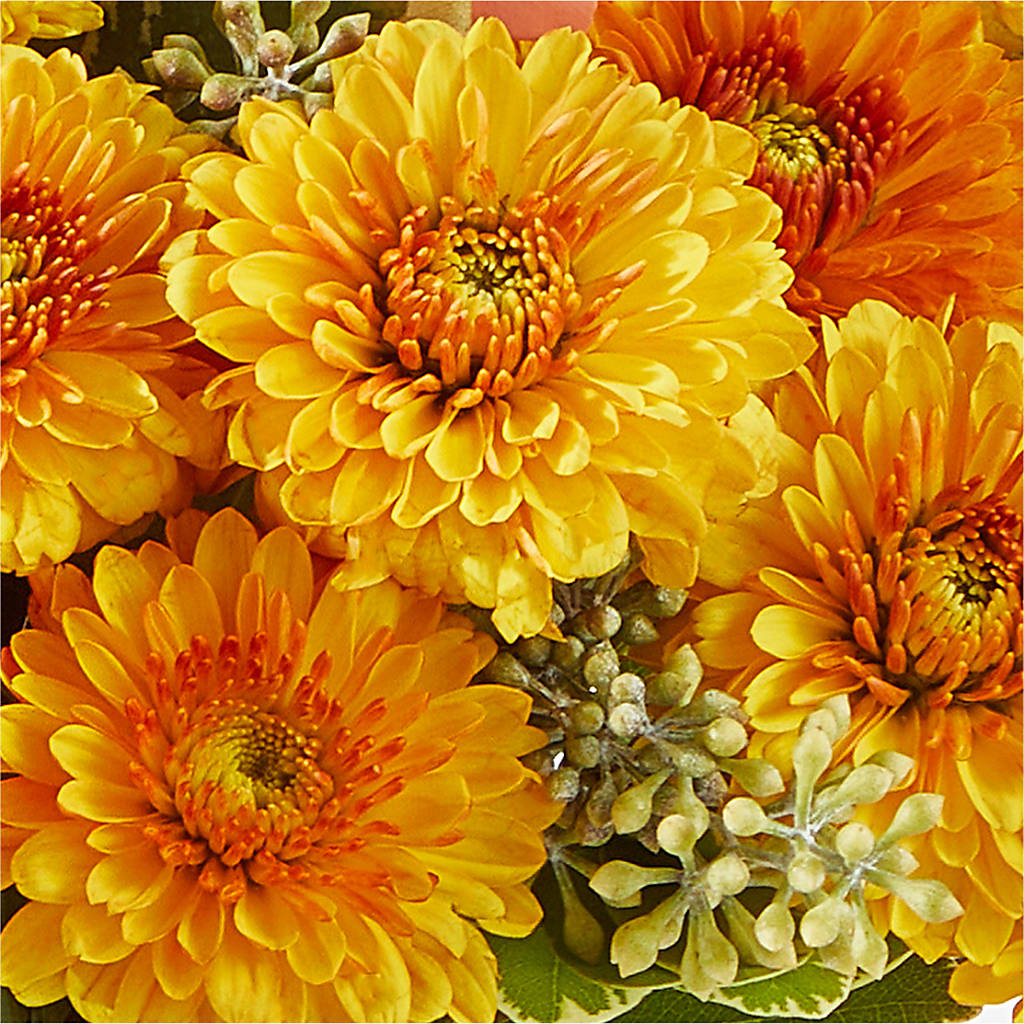 Peachy Pumpkin –  Oak Creek Florist, Concord CA