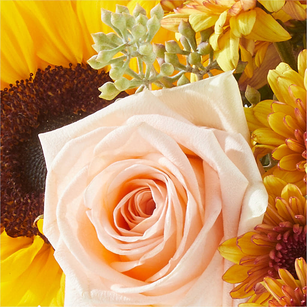 Pumpkin to Talk About Bouquet –  Oak Creek Florist, Concord CA