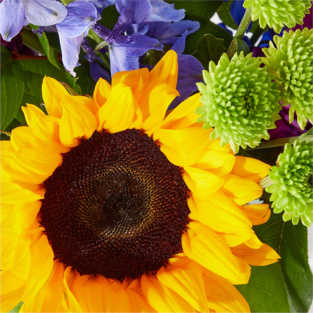 Catching Rays Bouquet –  Oak Creek Florist, Concord CA
