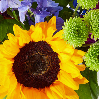 Catching Rays Bouquet –  Oak Creek Florist, Concord CA