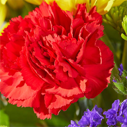 Brighter Days Bouquet –  Oak Creek Florist, Concord CA