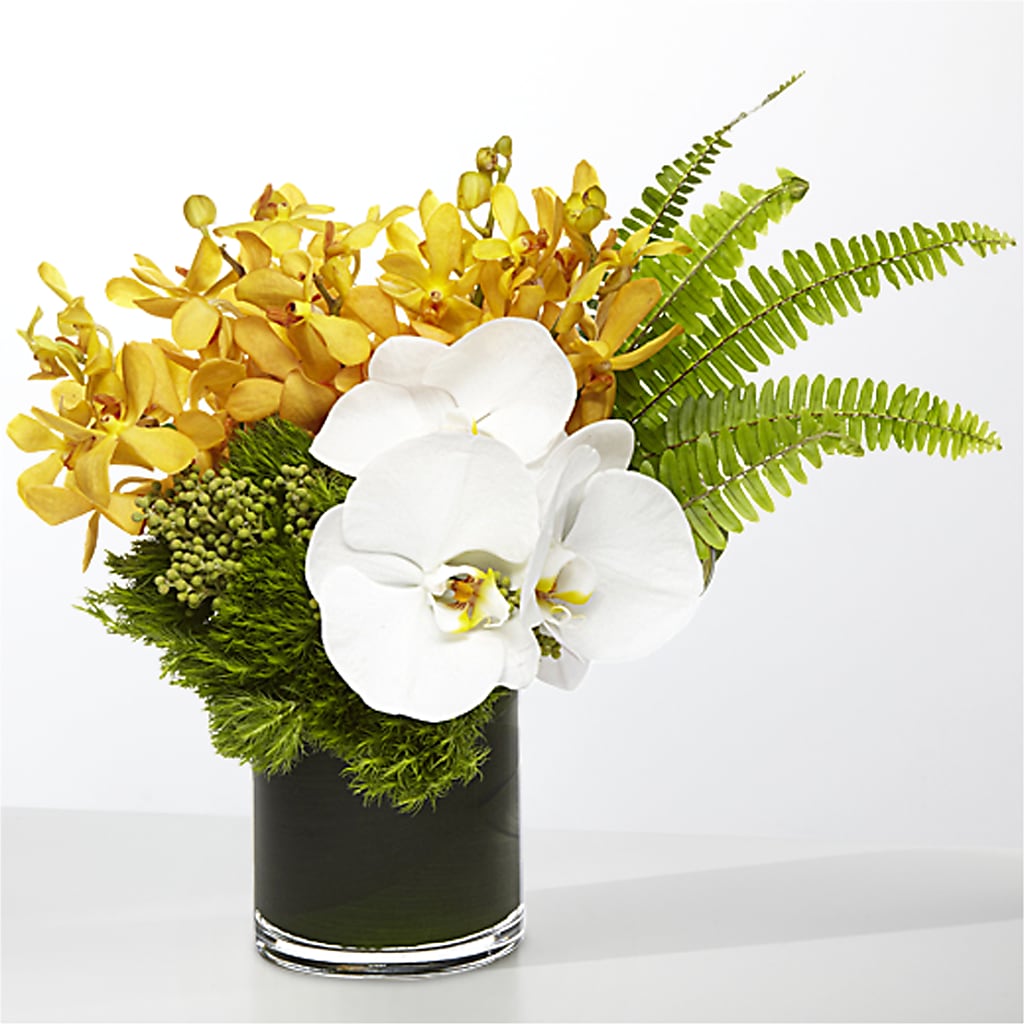 The Tropics –  Oak Creek Florist, Concord CA