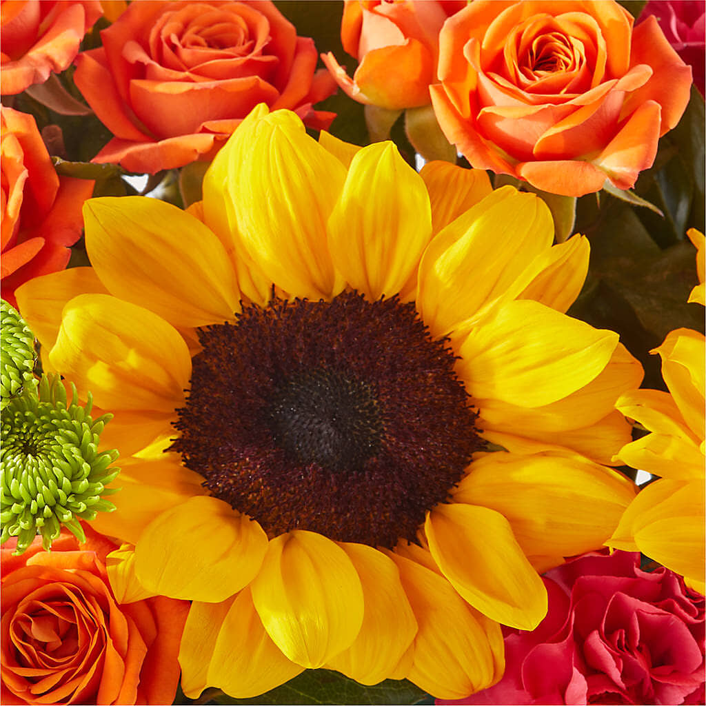 Sun-drenched Blooms Box Bouquet –  Oak Creek Florist, Concord CA