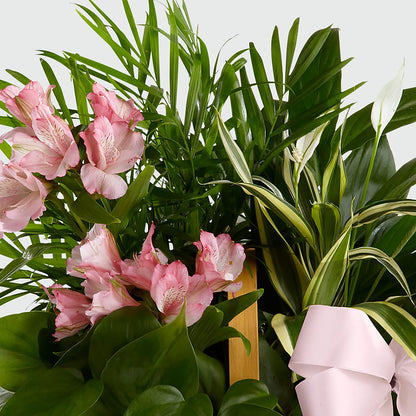 Living Spirit Dishgarden –  Oak Creek Florist, Concord CA