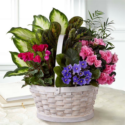 Peaceful Garden Planter –  Oak Creek Florist, Concord CA