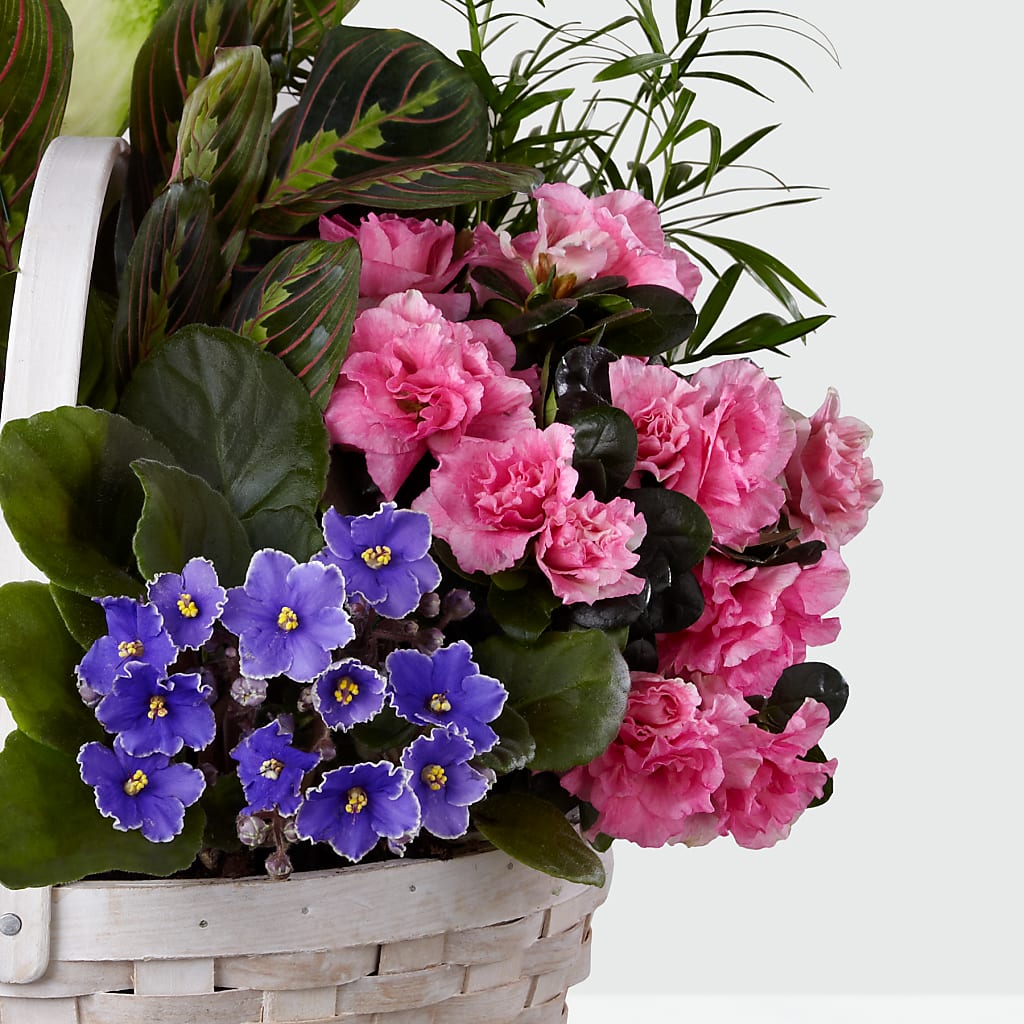 Peaceful Garden Planter –  Oak Creek Florist, Concord CA