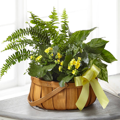 Always Dear Dishgarden –  Oak Creek Florist, Concord CA