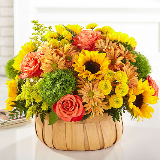 Harvest Sunflower Basket –  Oak Creek Florist, Concord CA