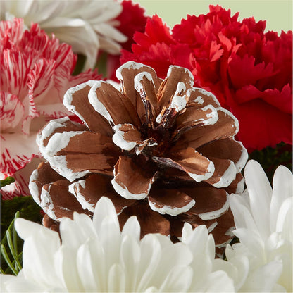 Candy Cane Lane Bouquet –  Oak Creek Florist, Concord CA