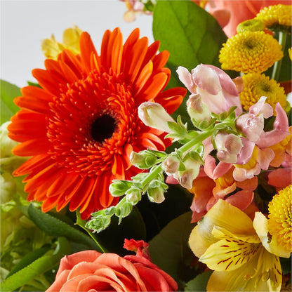 Autumn Sunshine Bouquet –  Oak Creek Florist, Concord CA