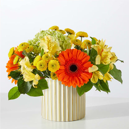 Autumn Sunshine Bouquet with Ivory Vase –  Oak Creek Florist, Concord CA