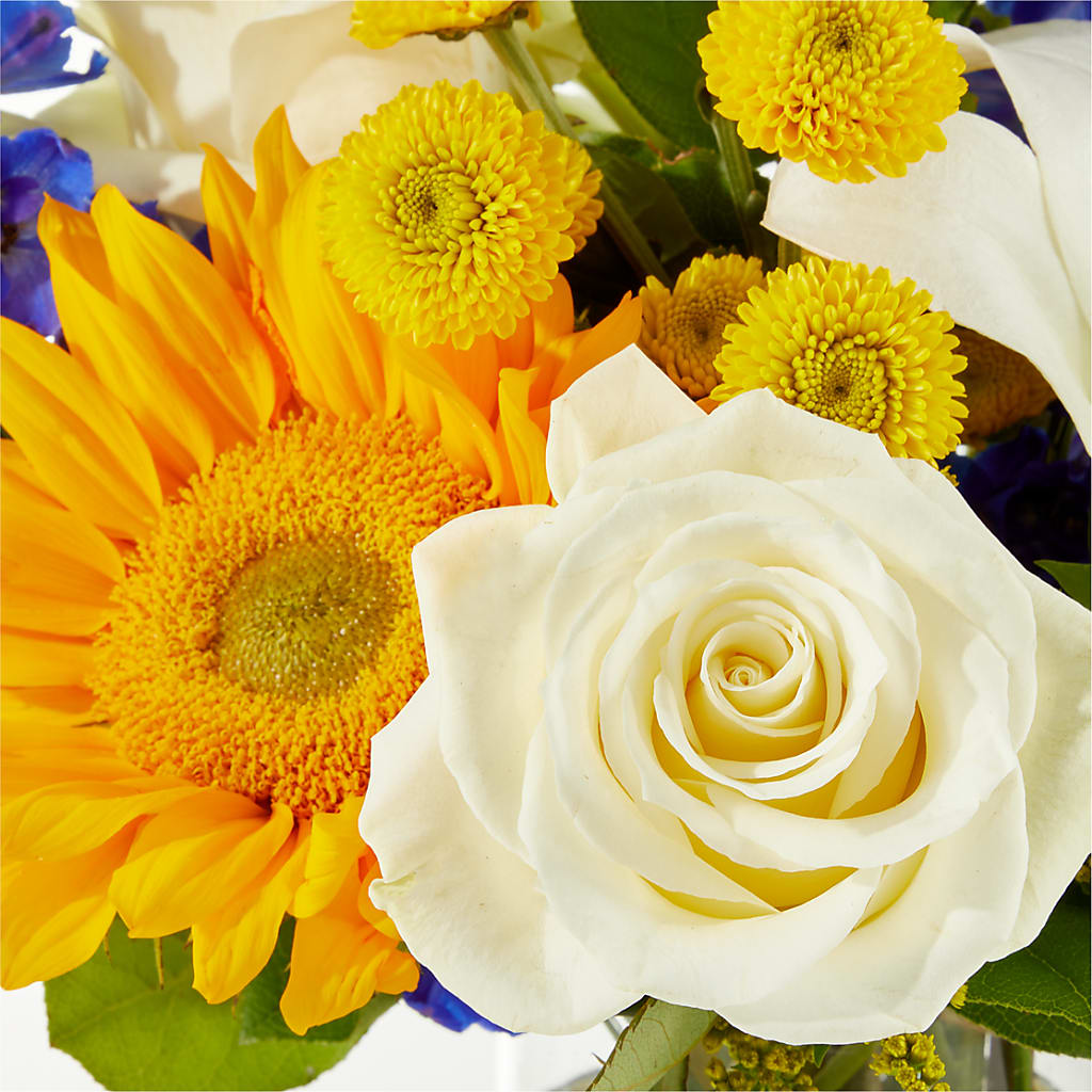 Stargazing Bouquet –  Oak Creek Florist, Concord CA