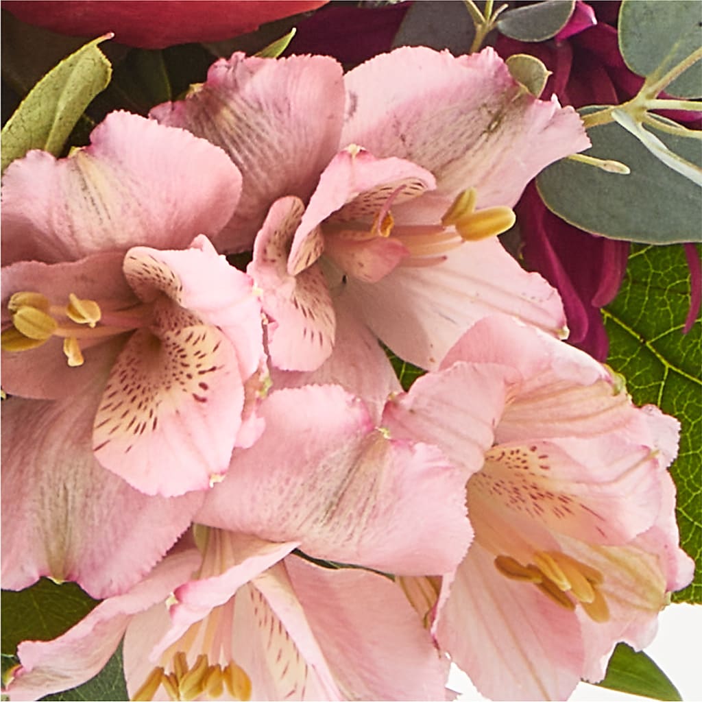Berry Cobbler Bouquet –  Oak Creek Florist, Concord CA