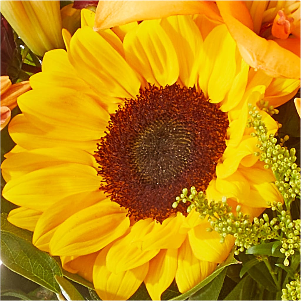 Seasons Change Bouquet –  Oak Creek Florist, Concord CA