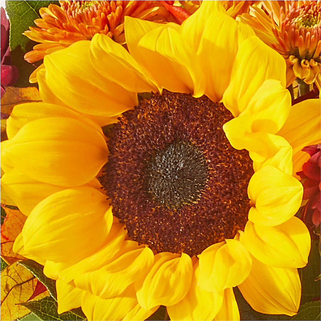 Sunny Side Bouquet –  Oak Creek Florist, Concord CA