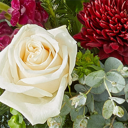 Cranberry Fizz Bouquet –  Oak Creek Florist, Concord CA