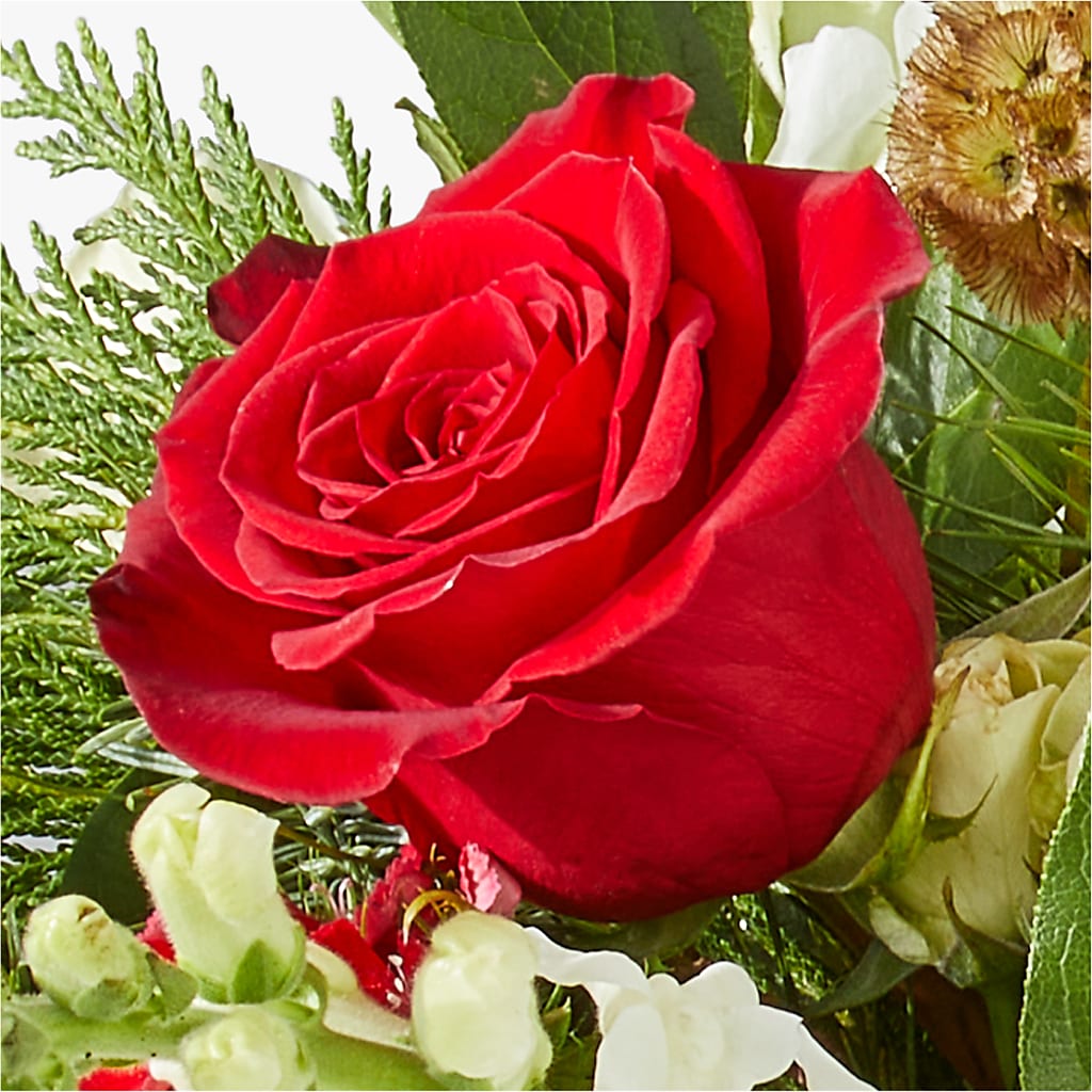 Deck the Halls Bouquet –  Oak Creek Florist, Concord CA