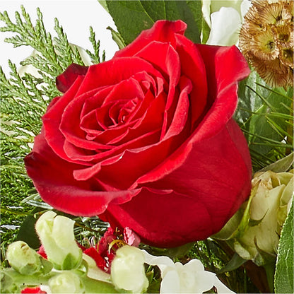 Deck the Halls Bouquet –  Oak Creek Florist, Concord CA