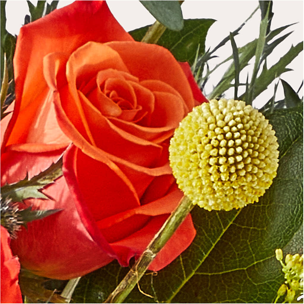 Disco Bouquet –  Oak Creek Florist, Concord CA