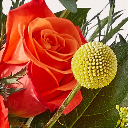 Disco Bouquet –  Oak Creek Florist, Concord CA
