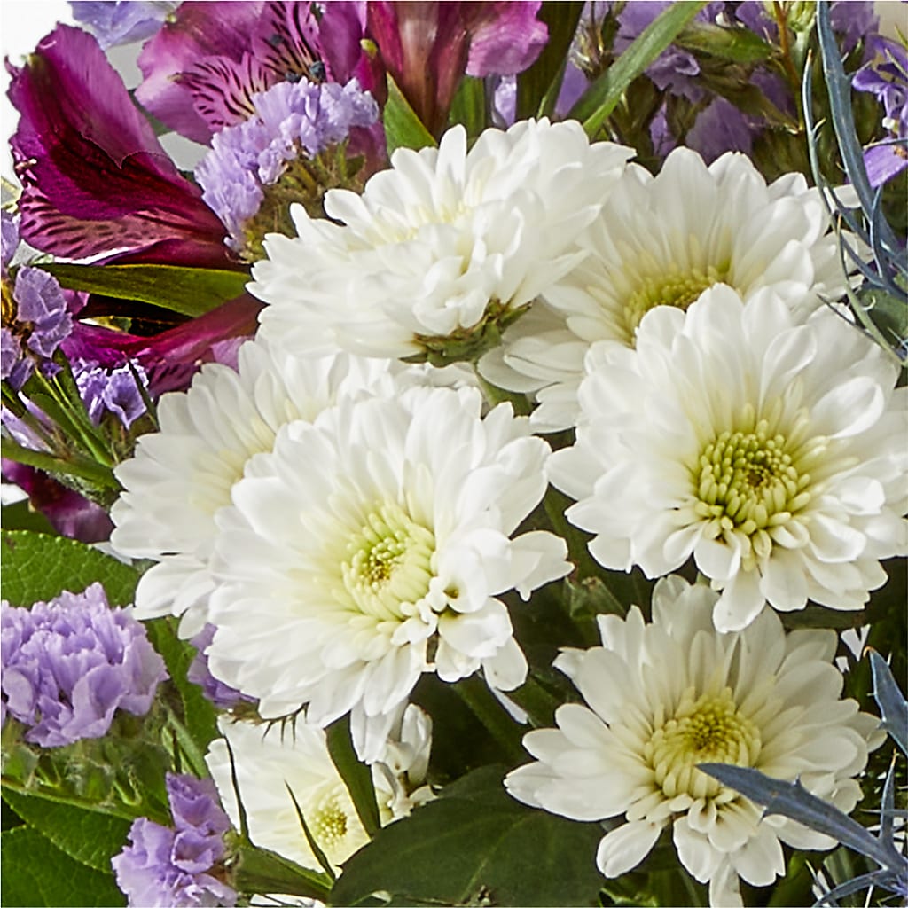 Shooting Star Bouquet –  Oak Creek Florist, Concord CA