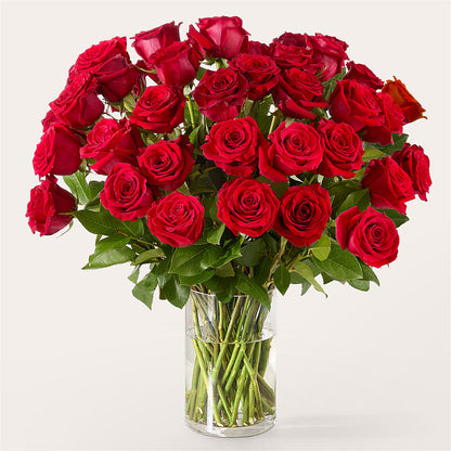 The One Red Rose Bouquet –  Oak Creek Florist, Concord CA