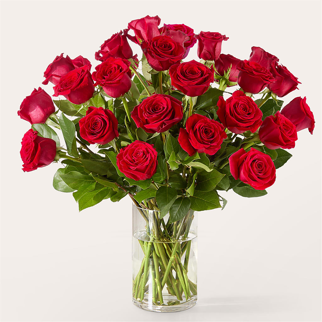 The One Red Rose Bouquet –  Oak Creek Florist, Concord CA