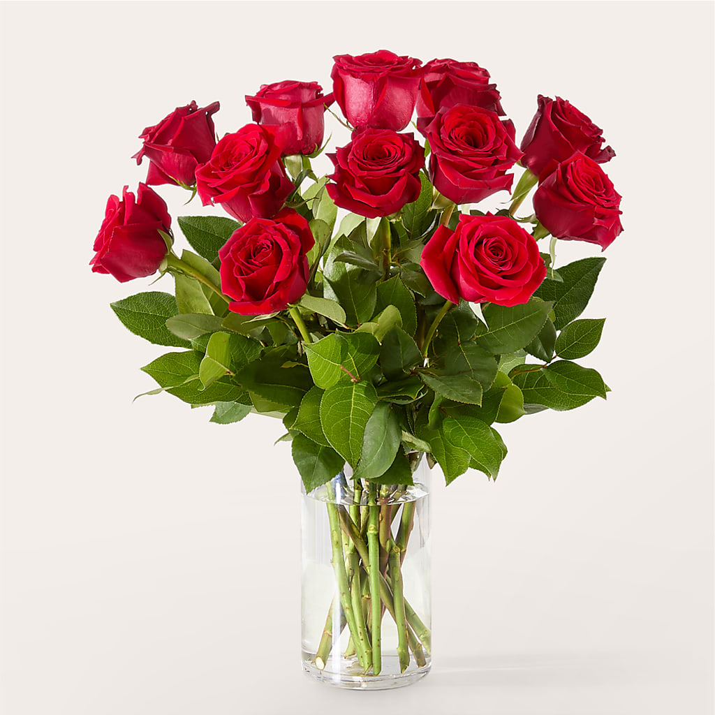 The One Red Rose Bouquet –  Oak Creek Florist, Concord CA