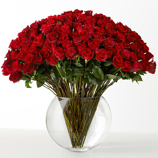 The Idealist –  Oak Creek Florist, Concord CA